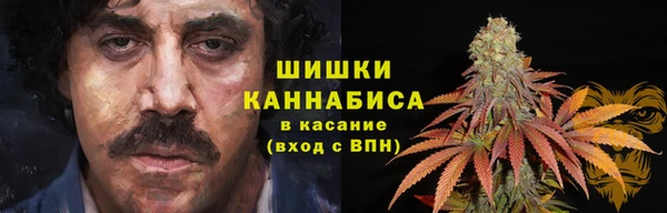 2c-b Верхний Тагил