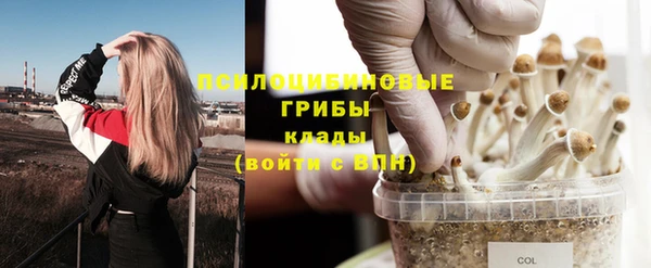 каннабис Верея
