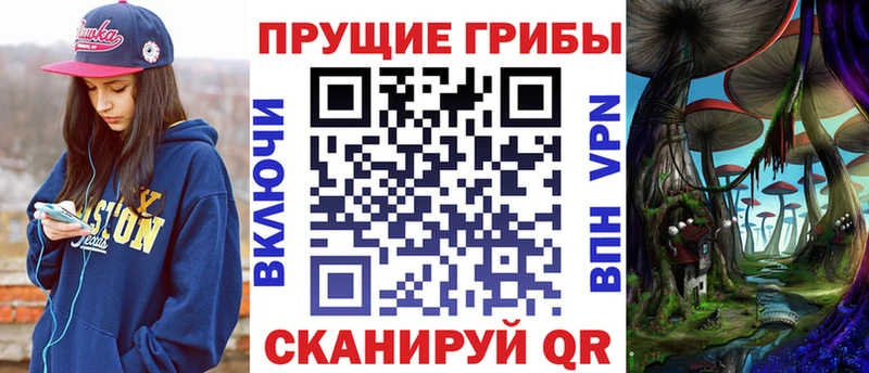 Купить где  Аркадак  Галлюциногенные грибы MAGIC MUSHROOMS 
